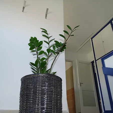 Belvarosi Apartmanhaz